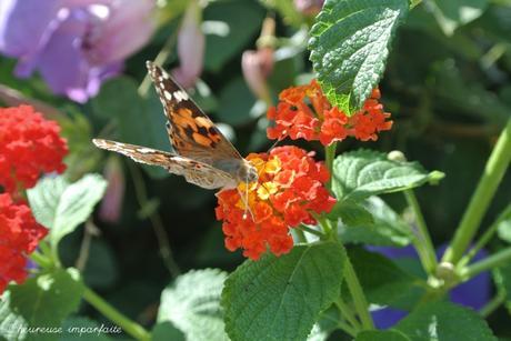 Rencontre avec Vanessa à St Trop’ ;)