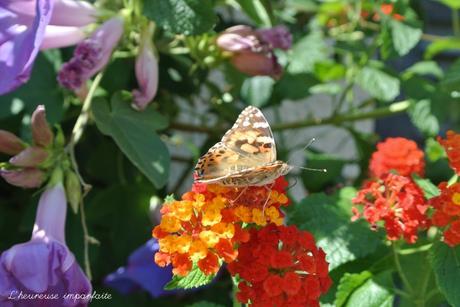 Rencontre avec Vanessa à St Trop’ ;)