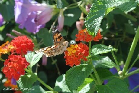 Rencontre avec Vanessa à St Trop’ ;)