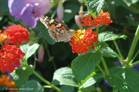 Rencontre avec Vanessa à St Trop’ ;)