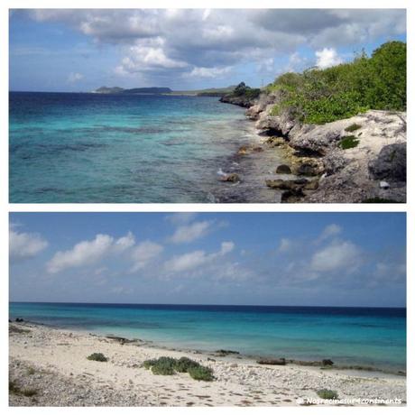 La beauté sauvage de Klein Bonaire - 2011