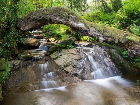 Laz : file le ruisseau, en aval de la carrière (4 photos)