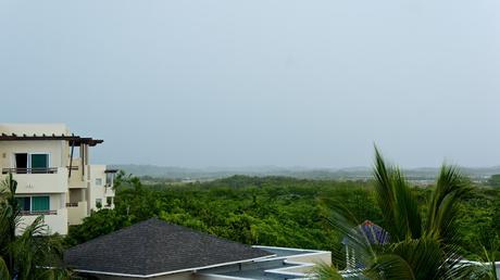 Petit coin du ciel Petit coin du ciel