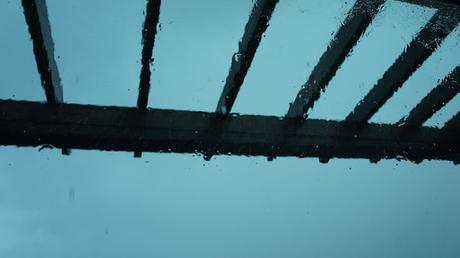 Petit coin du ciel Petit coin du ciel