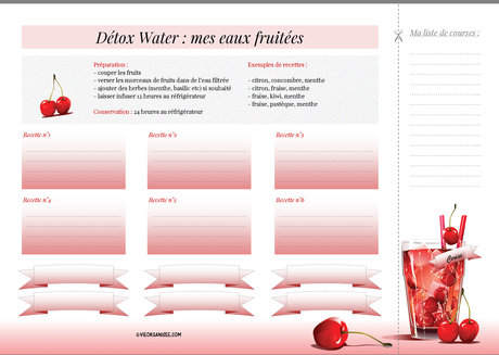 vie-organisee-lifestyle-detox-water-eaux-fruitees2
