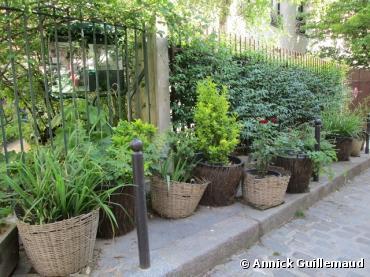 Les Parisiens invités à végétaliser les espaces publics de la capitale