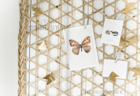 L'Etoile concepstore, un shooting rafraîchissant !