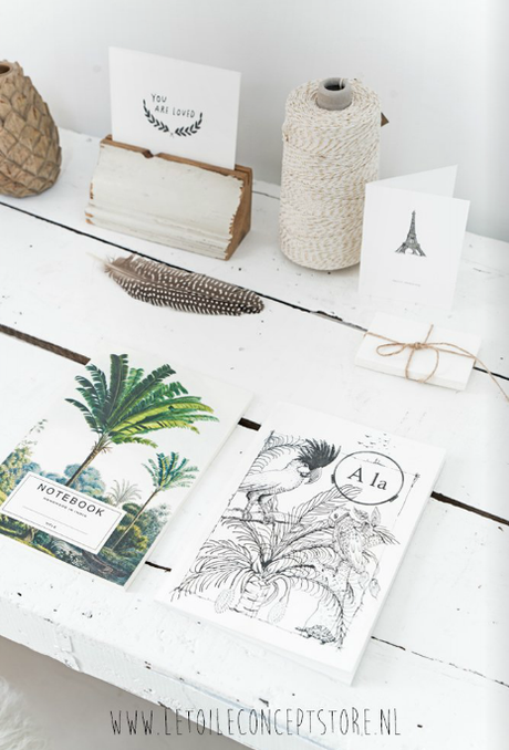 L'Etoile concepstore, un shooting rafraîchissant !