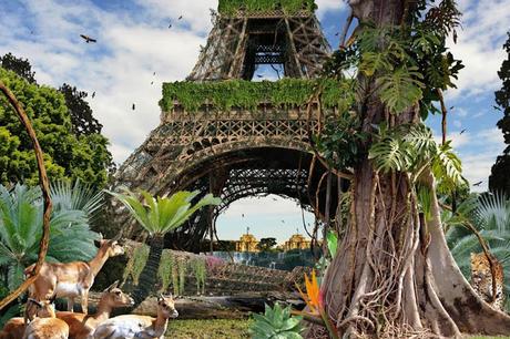 Paris... Jungle...!