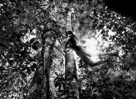 Pour les tribus amazoniennes, comme ici les Zo'é du Brésil, “la séparation entre l'homme et son environnement est une idée totalement artificielle”.   