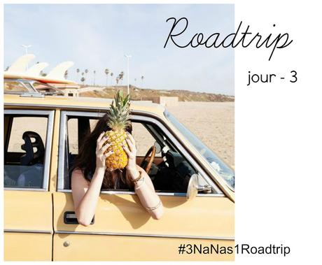 Le Roadtrip estival des nanas du blogue!