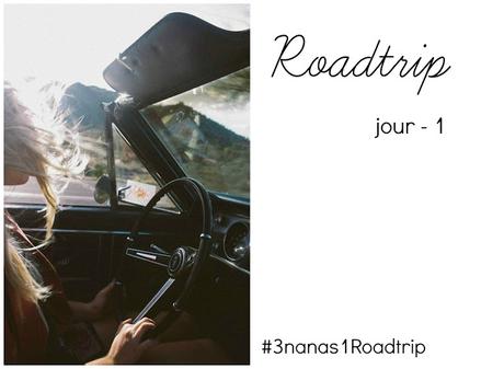 Le Roadtrip estival des nanas du blogue!