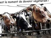 éléveurs français colère