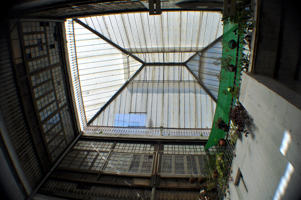 Verrière de Cour Intérieure