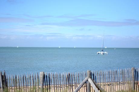 ILE DE RE JUILLET 2015 1