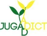 Jugaaddict : le projet ambitieux de trois futurs diplômés d’AgroParisTech