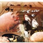 illustration de ralph steadman la ferme des animaux