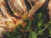 Sardines marinées pommes Roseval, herbes curé piment d’Espelette