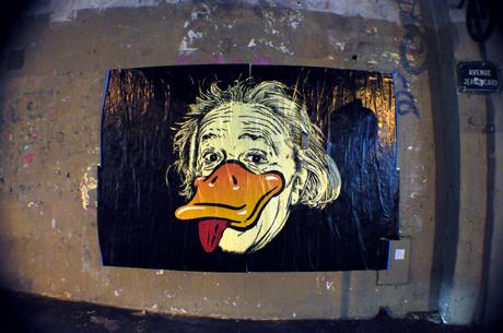 Einstein Duck