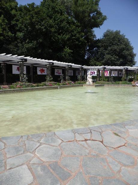 France-Lyon-La roseraie