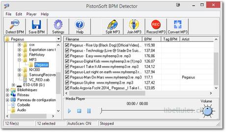 BPM Detector
