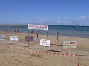 Dans bassin Marennes-Oléron, lutte contre fermes-usines d’huîtres engagée