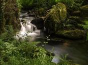 ruisseau Fontaines photos)
