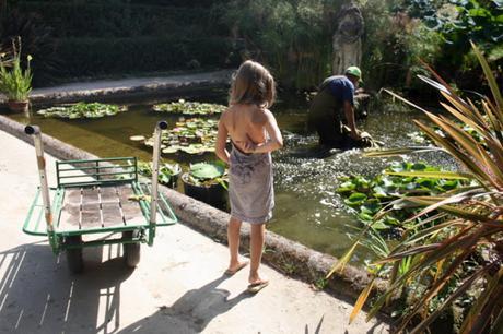 Les jardins des Serres de la Madone, à Menton: une visite magique. Les jardins des Serres de la Madone, à Menton: une visite magique.