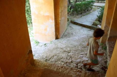 Les jardins des Serres de la Madone, à Menton: une visite magique. Les jardins des Serres de la Madone, à Menton: une visite magique.