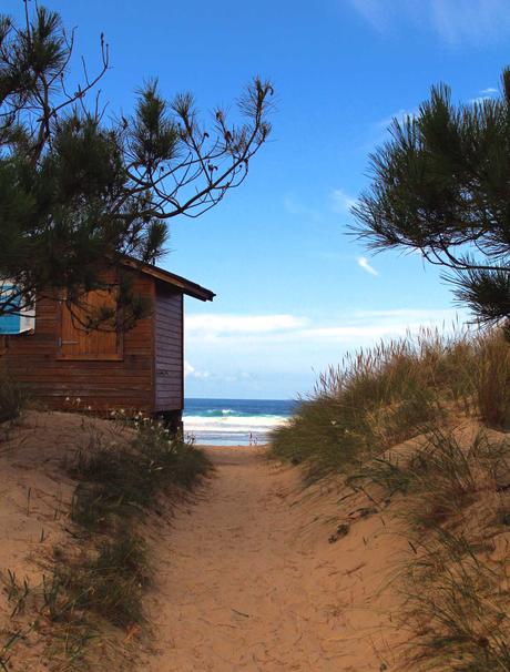 plage surf vagues galice 4