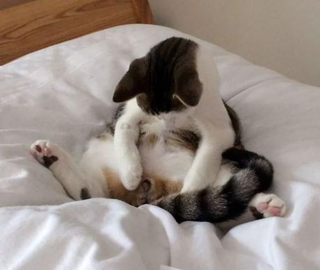 Purée d'nous autres j'ai plus rien....