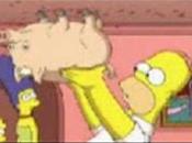 Spyder Cochon accroché sourire niais