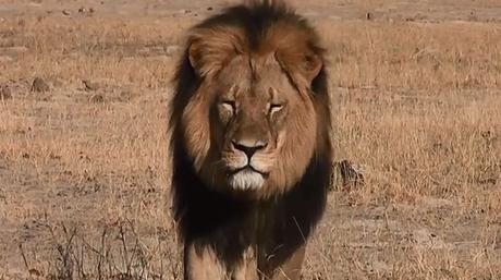 Citation du jour, bonjour !