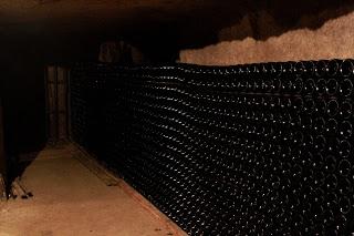 VdV#77 : le vin qui vous ressemble