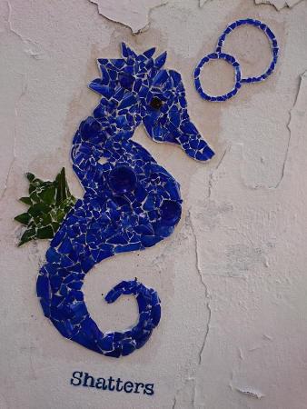 shatters.JPG