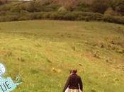 cueillettes d’Amélie plantes Cantal tisanes