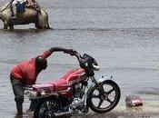 Comment nourrir planète dans contexte réchauffement climatique