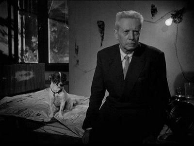 Umberto D