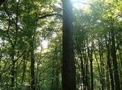 Centenaire Philippe Bunk.