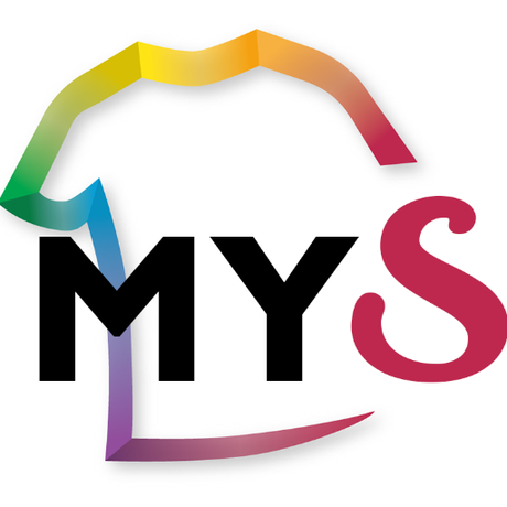 Make Your Style, Quezako ?