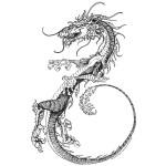 illustration de dragon