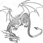 illustration de dragon
