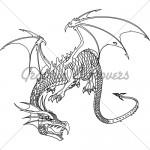 illustration de dragon