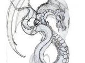 illustration dragon