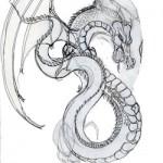 illustration de dragon