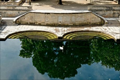 Jardins de la Fontaine, Nîmes, Parcs, Jardins publics, poissons, nymphée, couleurs, expo photo, Negpos, Images et Ville