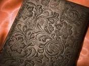 Dublin Street T.1.5 Fountain Bridge Samantha Young