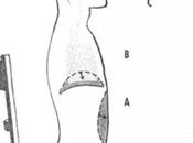 souffle, forge l'âme