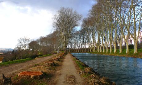 Canal du Midi ©VNF