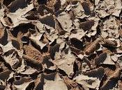 Volontaires pour l'étranger